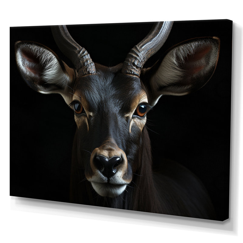 Keillan Antelope Portrait II, reproduction d'art sur toile, H 30 po x l 40 po x P 1,5 po, Toile tendue