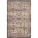 Tuthill Performance Oriental Rug