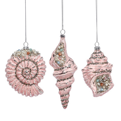 Ornement coquillage, assortiment de 3 - 5 à 7 pouces