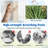 Elien 65'' H Cat Tree
