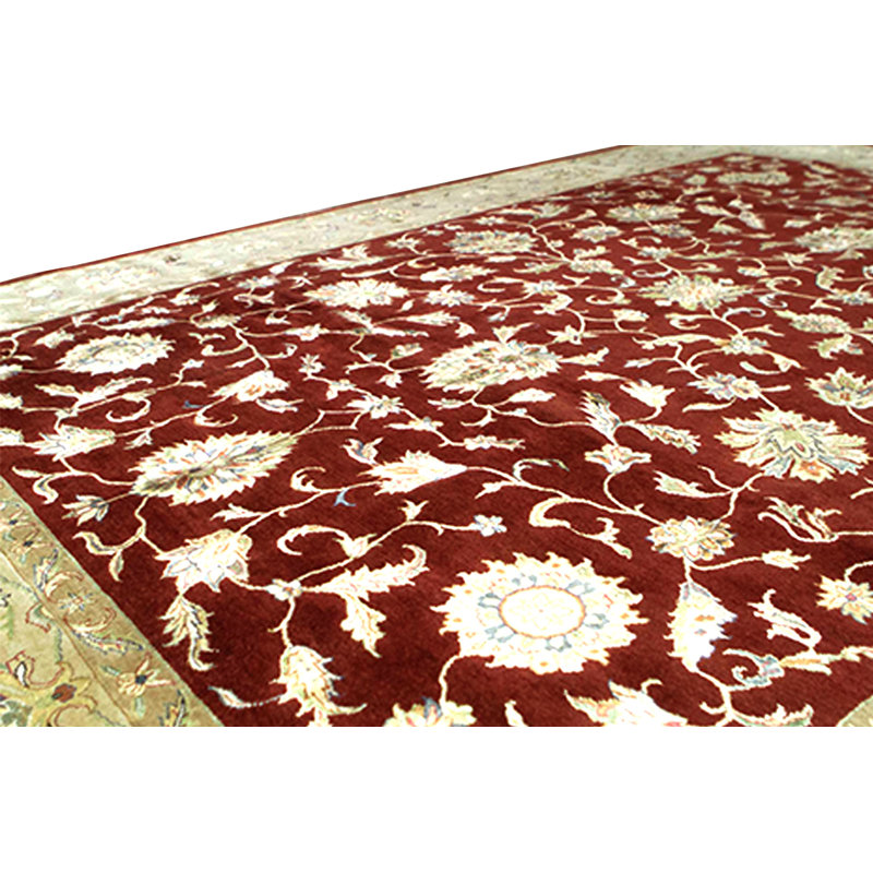 Oriental Area Rug in Rust/Beige