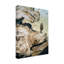 «Driftwood» par Etelca, impression sur toile tendue-27646727