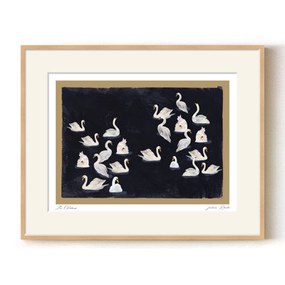 Les cygnes - un assemblage gracieux de cygnes blancs sur les eaux profondes de minuit | H 36 po x l 48 po | Cadre naturel