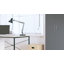 Abelone 2 -Door 5 -Shelf-2070973835