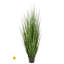 Herbe panachée 60 po UV UV-561070786