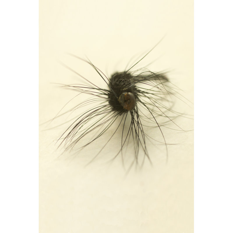 Macro Lure III 1 Piece Wrapped Canvas Wall Art, 46cm H x 30cm W