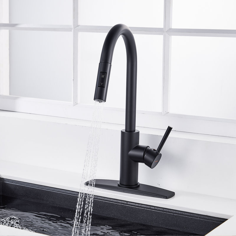 Blue Elephant Pull Down Kitchen Faucet, Black