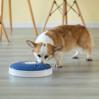 Slow Feeder