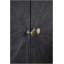 Judah Acacia Wood Accent Chest with Iron Base & 2 Doors