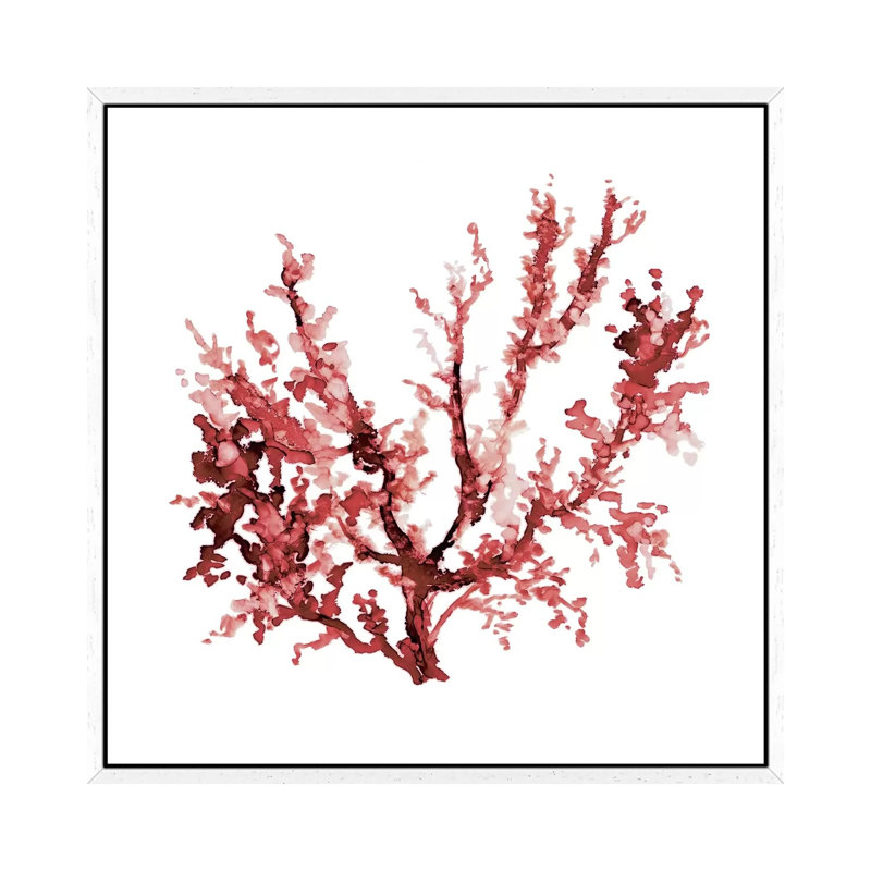 Sea Coral III by Carol Robinson - Painting on Canvas, 93.98 cm H x 93.98 cm W, White Framed Canvas