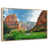 Floating Frame Natural Wood