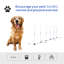 Entraînement d'agilité pour chien avec poteaux et armoire de rangement. Encouragez les exercices physiques du chien. Portable et léger. Configuration entièrement réglable. Établissez une relation plus étroite avec votre animal de compagnie. Blanc