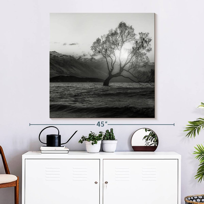 Lac Nicci Wanaka BW, H 33 po x l 33 po