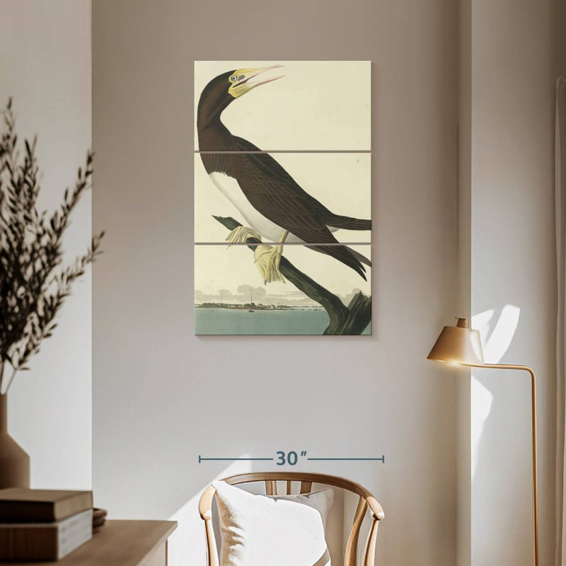 Brampt Booby Gannet, 57" H x 36" W