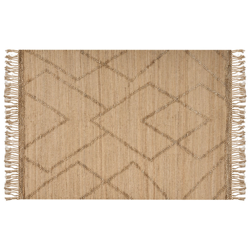 Isenbert Geometric Hand Woven Area Rug, Rectangle 200 x 300cm