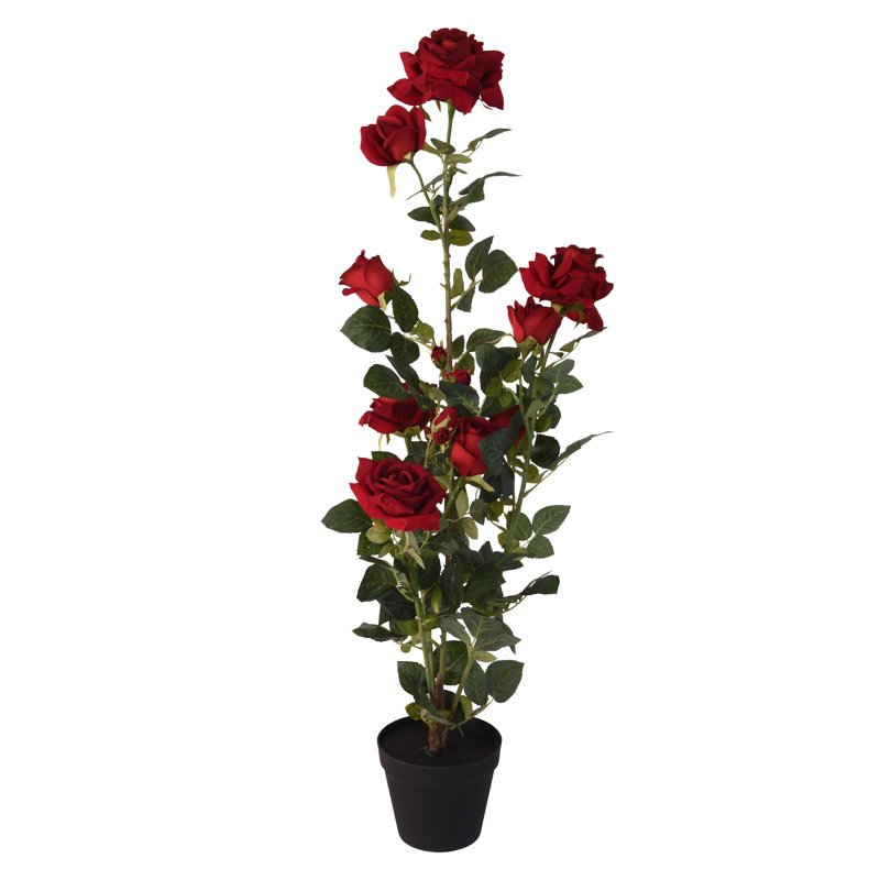 Arrangement