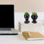 Fausse plante grasse, mini plantes grasses artificielles en noir en forme d'homme moderne en céramique Pots de bureau, plante de bureau pour la décoration de bureau pour les femmes