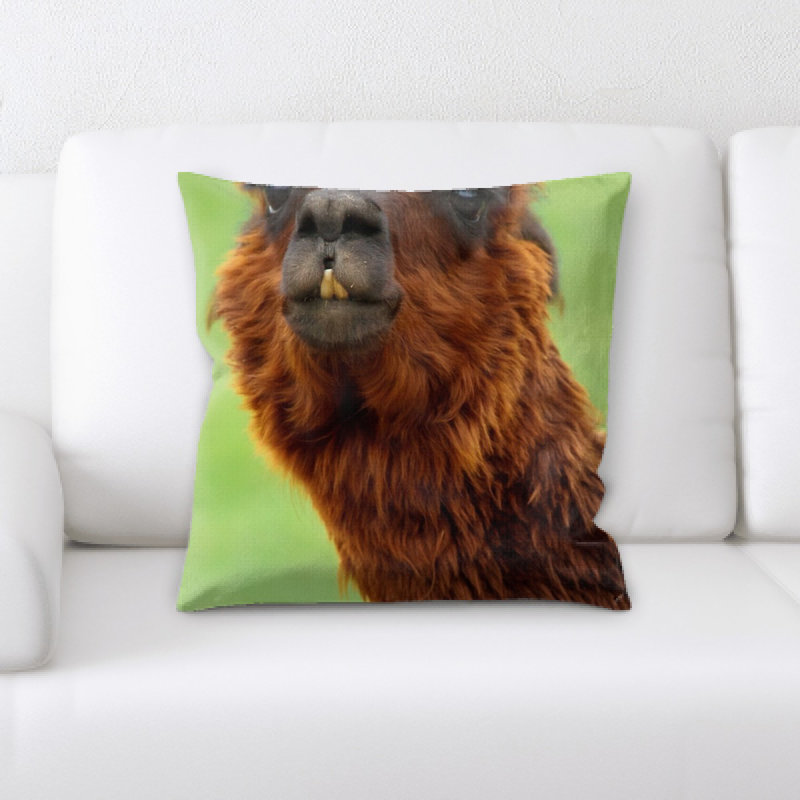Coussin décoratif alpaca