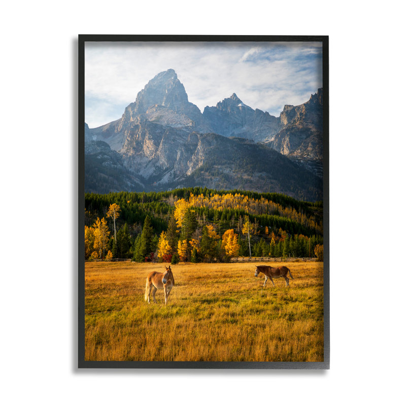 «Horses & Fall Foliage» encadré sur bois par Daniel Sproul, H 14 po x l 11 po x P 1,5 po, Giclée encadrée noir minuit