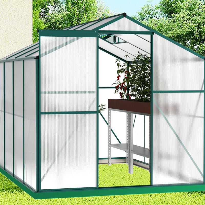 Serre de jardin arrière 6 pi x 8 pi, polycarbonate simple 4 mm, structure de jardinage stable 6 pi x 8 pi, système de drainage efficace en polycarbonate bloquant