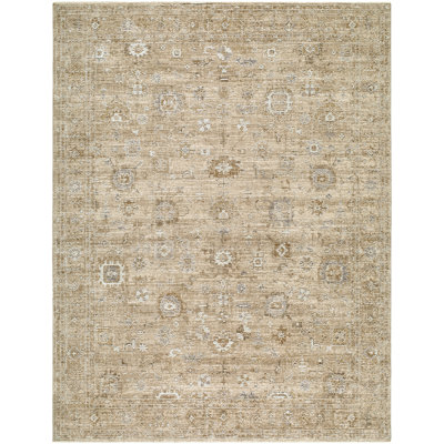 Moroccan Area Rug