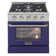 Pro-Style 30 in. 4.2 cu. ft. 4-Burner Freestanding Gas Range with Convection Oven