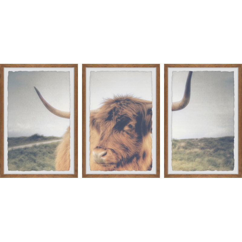 Summit Cow's Eye View - 3 Piece Single Picture Frame Print, 45cm H x 38cm W x 3.81cm D