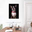 Beau terrier de Boston-1762013130