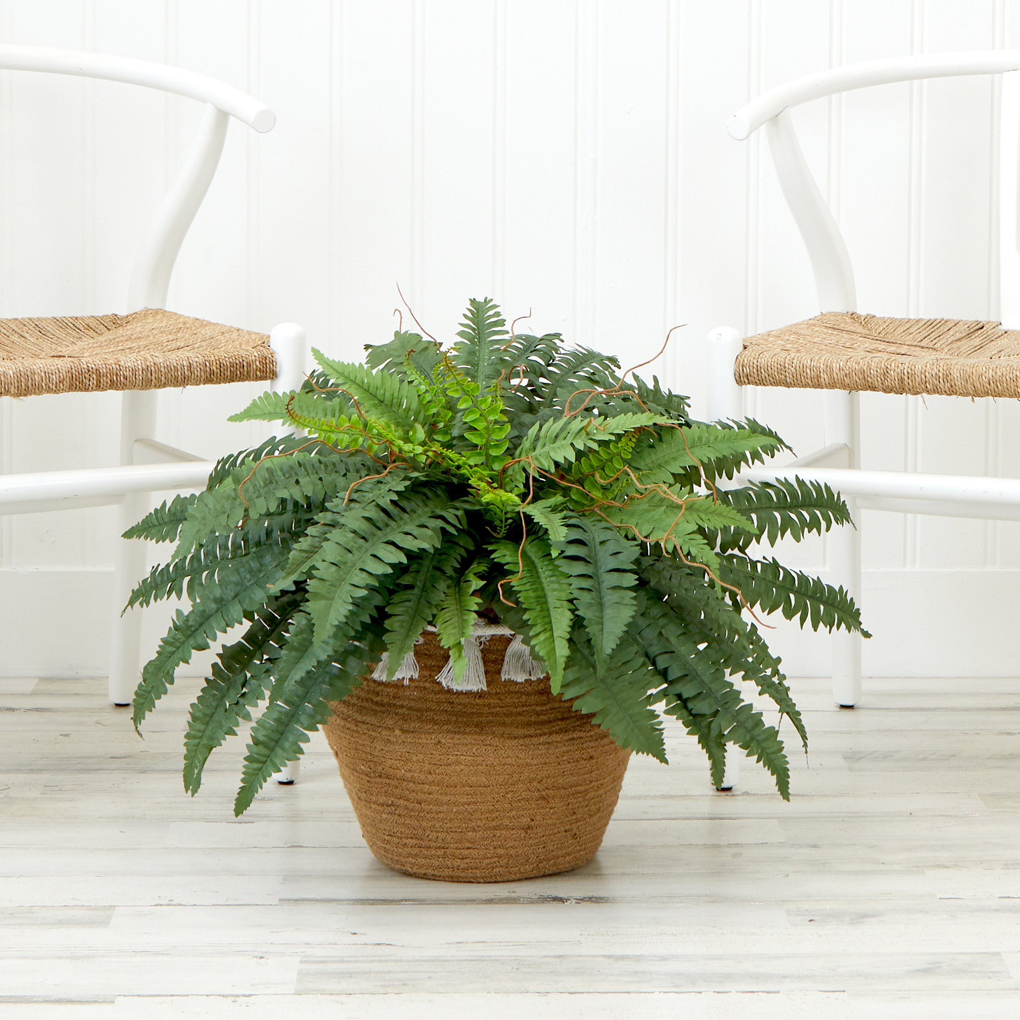 Primrue Velez 20'' Artificial Fern Plant in Basket | Wayfair