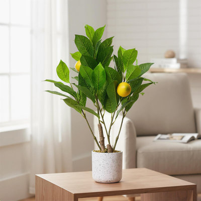 Ensemble de 2 plantes artificielles à branches de citron - Faux bonsaï en pot d'aspect marbre avec base en mousse de ciment pour la maison et le bureau