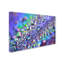 « colours of arc-en-ciel », reproduction de photo sur toile tendue-31355493