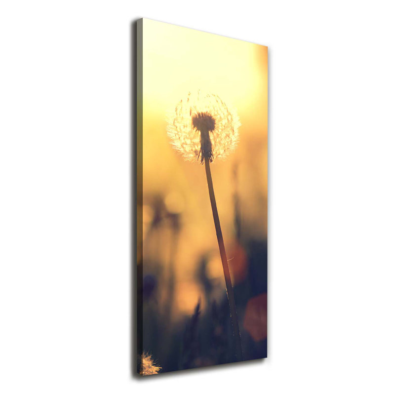 Dandelion - Wrapped Canvas Print