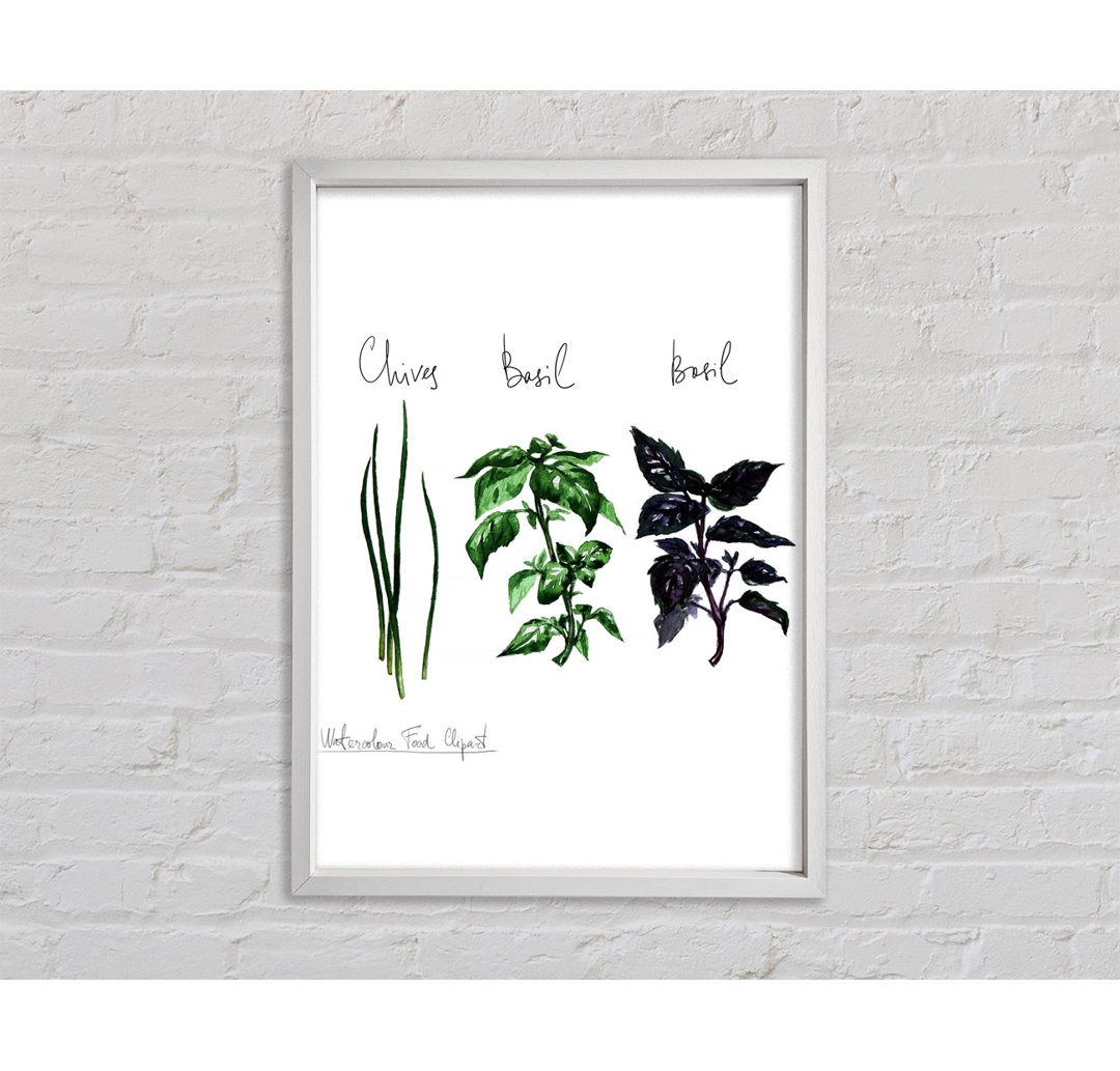 Herb Selection 4 - Einzelne Bilderrahmen Kunstdrucke auf Leinwand