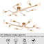 Momeyer Chandelier