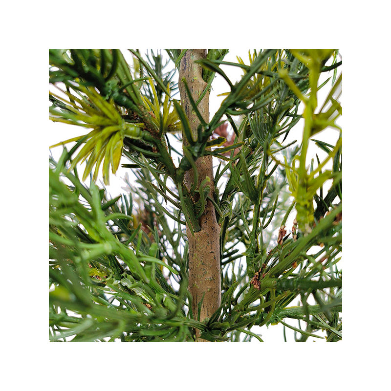 SEASONAL GREENERY TREE S/2 PINE BSKT 2FT