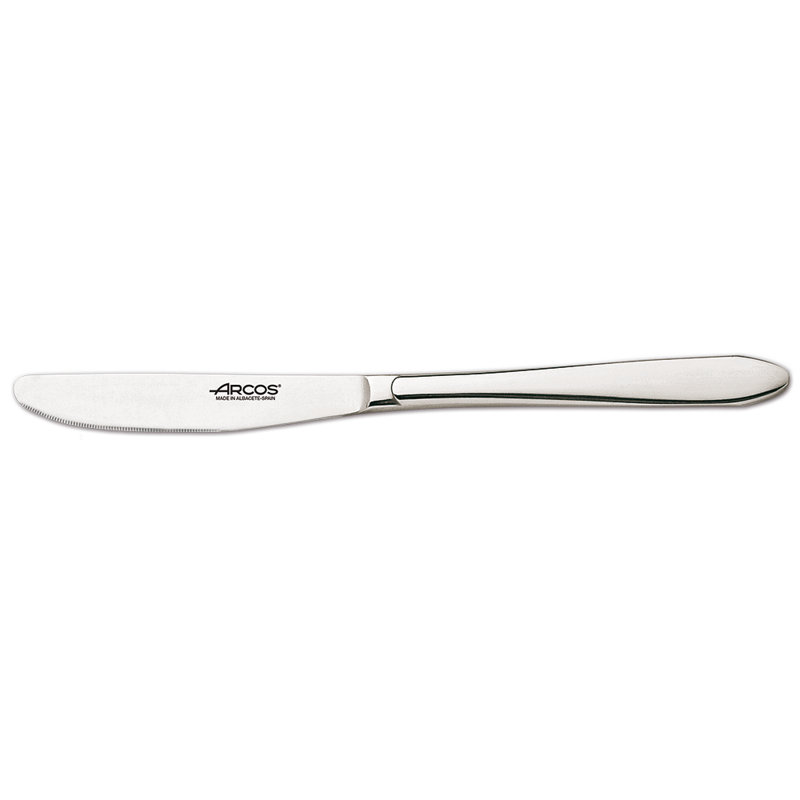 Stainless Steel Dinner Knife