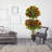 48'' Faux Ficus Topiary in Ceramic Planter