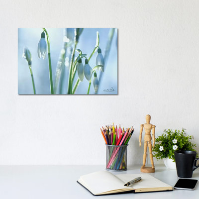 Couple Of Snowdrops by Martin Podt - Wrapped Canvas Print