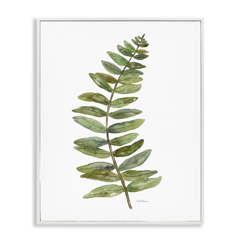 Art de giclée encadrée de fougère courbée, design par Carol Robinson, H 30 po x l 24 po