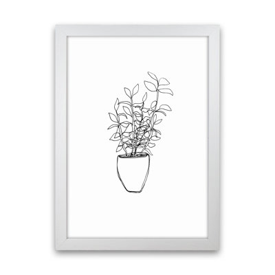 Tea Plant by Carissa Tanton - Print