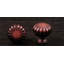 CK Series Knob-12829508