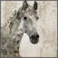 «Glaeta Horse» par Irena Orlov - reproduction-17900109-24368036