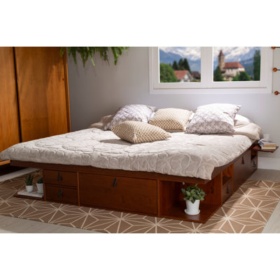 Pharr Bookcase Storage Bed