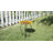 Iron Mosaic Birdbath