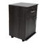37cm Wide File Cabinet-1658599120