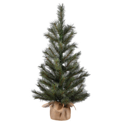 The Holiday Aisle® 3 ft. Frosted Ontario Pine Tree with Battery Operated Lights