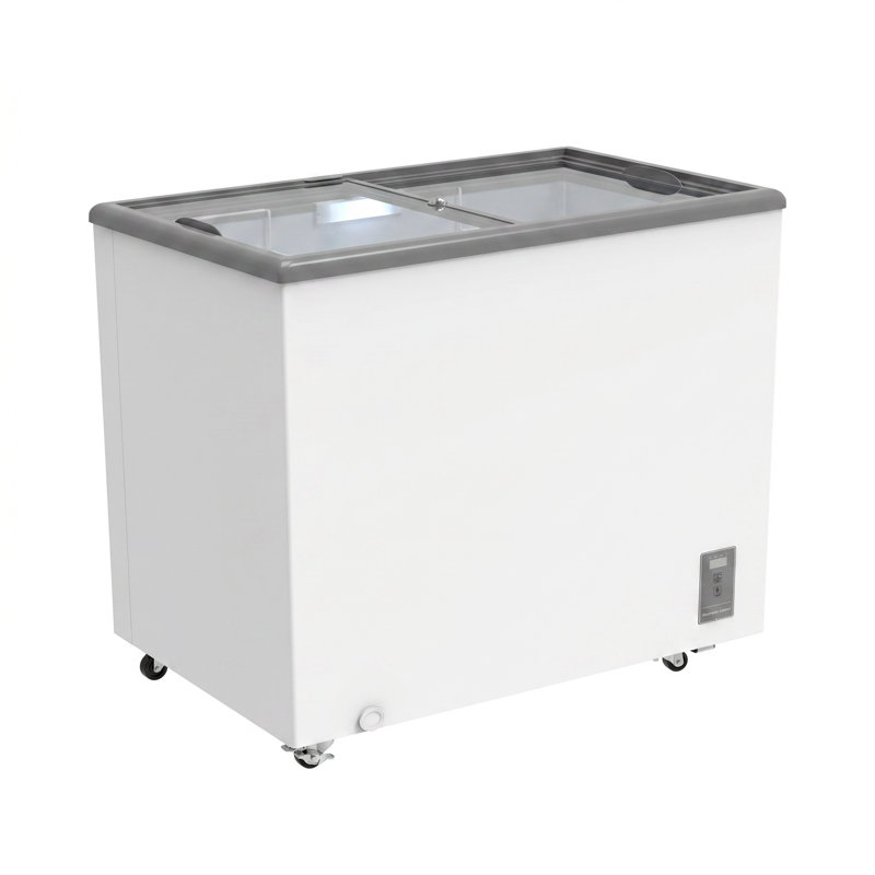 ARCOVANCE Merchandising Freezer - 30.3 in.