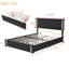 Kleomenis Upholstered Platform Storage Bed-1062185881-1070690963