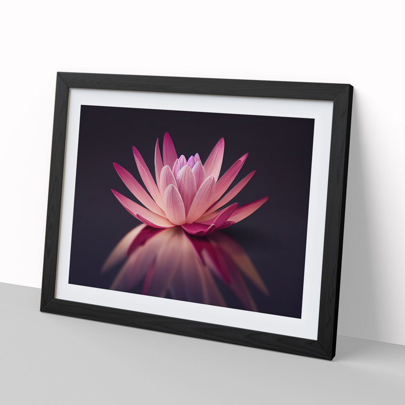 Captivating Water Lily Flower - Single Picture Frame Print, 25cm H x 34cm W x 2cm D, Black