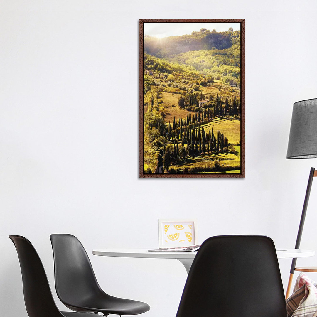 Countryside In Tuscany Italy With Cyprus Trees von Susan Richey - Gallery-Wrapped Canvas Giclée on Canvas